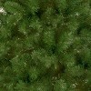 National Tree Company 7 ft. Canadian Grande Fir Tree - 3 of 3
