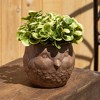Sullivans 5.25" Brown Outdoor Bird Planter, Resin - 3 of 3