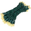 Novelty Lights G12 LED Christmas String Lights 50 Globe Mini Bulbs (Green Wire, 25 Feet) - 2 of 4