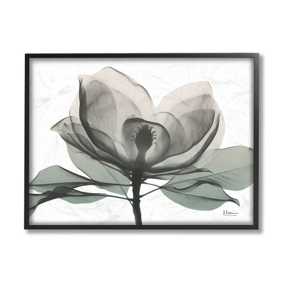 Stupell Industries White Magnolia Flower Green Silhouette Framed Giclee Art, Black, 20" x 16"