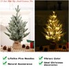 Home Office Desk Decorations 24 Inch Small Christmas Tree w/ Lights, 2 Ft Prelit Table Top Christmas Trees Mini Artificial Pine Tree w/ 50 Lights - 4 of 4