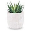 Inspirella 6.5 Inch Timeless Hand Painted Glazed Ceramic Round Indoor Outdoor Succulent Plant Pot with Drainage Hole and Plug - 2 of 4