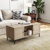 Shoe Cabinet, Shoe Rack Cabinet with 3 Rattan Flip Drawers - 3 of 4