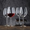 Nachtmann Vivendi Bordeaux/Water Goblet 27oz, Set of 4 - 4 of 4