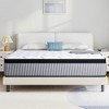 Wuleitex 10-inch Hybrid Mattress - 4 of 4