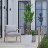 4.8FT Artificial Dracaena Tree with White Planter, Tall Faux Brazil Wood Plant for Home and Office D¨¦cor - 4 of 4