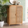 bali & pari Curacao Rattan 2 Door Storage Cabinet Light honey: Plywood Frame, Fixed Shelves, No Assembly Required - 4 of 4