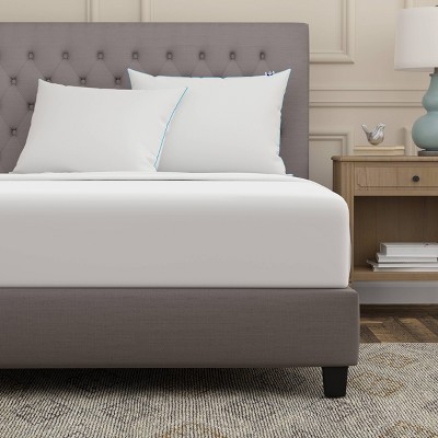Sealy Hypoallergenic Soft Cotton Universal Sleeper Pillow Set