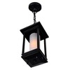 CWI Lighting,Granville 1 Light Black Outdoor Hanging Light - 3 of 4