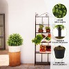 COWLOWN 2ft Set of 2 Boxwood Topiary Ball Trees Artificial Outdoor, UV Resistant Faux Evergreen Plants, Outside Greenery - 3 of 4