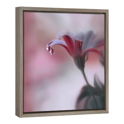 22" x 22" Magenta Anemone Framed Canvas Wall Art