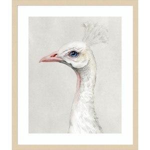 Amanti Art Alpine Peacock II by Grace Popp Wood Framed Wall Art Print - 1 of 4