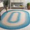 Braided BRD311 Machine Washable UV & Stain Resistant Non-Shedding Hand Woven Indoor/Outdoor Rugs - Safavieh - 2 of 4