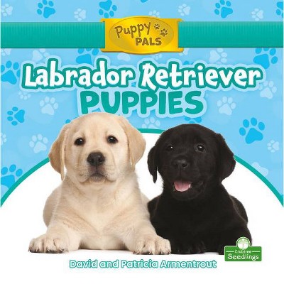 Labrador Retriever Puppies - (Puppy Pals) by  David Armentrout & Patricia Armentrout (Paperback)