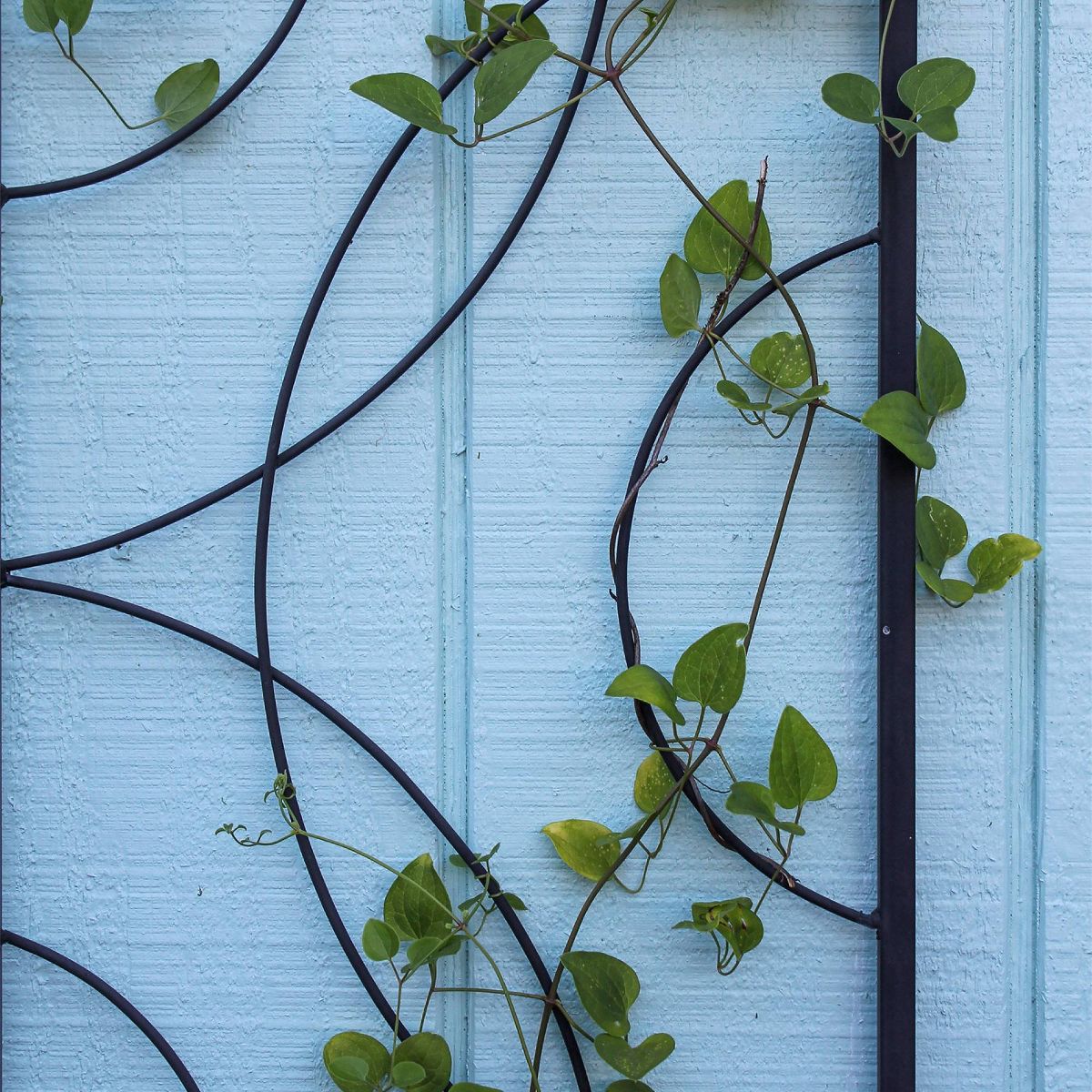 ACHLA Designs 42" Black Powder Coated Wrought Iron Trellis - thumbnail 3