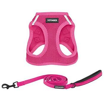 Cat Harness Leash Collar : Page 16 : Target