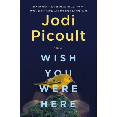 Wish You Were Here - by Jodi Picoult (Hardcover)