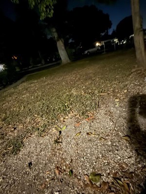 Guest review image 5 of 5, zoom in