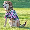 Doggie Design Hawaiian Camp Shirt - Paradise Nights - 2 of 3
