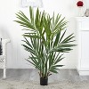 HomeStock  4 ft. Artificial Palm Tree in Pot for Indoor/Outdoor - 4 of 4