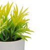 Northlight 8" Potted Green Artificial Succulent with Wooden Stand - 4 of 4