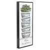 Stupell Industries Bless This Kitchen Stacked Ornate Bowls Succulent Plant, 24" x 10" - 3 of 4