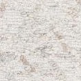 beige/grey