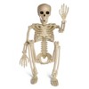 Presence 24-inch Halloween Adjustable Skeleton Prop - 4 of 4
