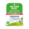 Galphimia Glauca 30C 3 MDT by Boiron Homeopathic Medicine For Hay Fever Relief  -  3 Tubes Box - 3 of 4