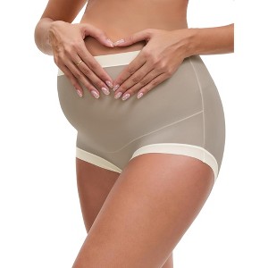 INSPIRE CHIC Women's Full Coverage Maternity Underwear Plus Size High Waisted Ice Silk Invisible Breathable Panties - 1 of 4