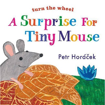 A Surprise for Tiny Mouse - by  Petr Horacek (Board Book)