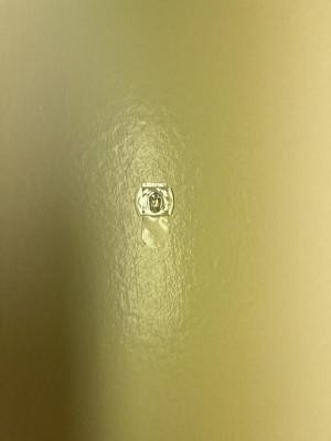 Guest review image 4 of 5, zoom in