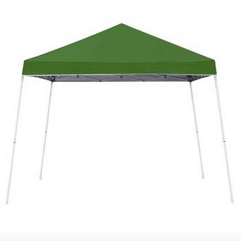 Z-Shade 10 x 10 Foot Angled Leg Instant Shade Outdoor Canopy Tent Portable Gazebo Shelter for Camping or Backyard Grilling, Green