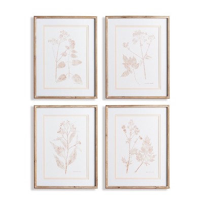 Plum & Post Blush Botanical Study, Set Of 4