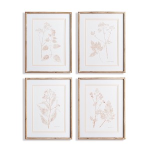 Plum & Post Blush Botanical Study, Set Of 4 - 1 of 3