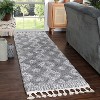 Modern Diamond Shag Polypropylene Indoor Area Rug or Runner with Fringe by Blue Nile Mills - 2 of 4