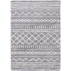 Arizona Shag ASG741 Power Loomed Indoor Rug -Safavieh - 1 of 4