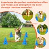 COZONY Dog Agility Set with Cones & Hurdles, Portable Puppy Obstacle Course Training Equipment Adjustable Height Includes Storage Bag - 4 of 4