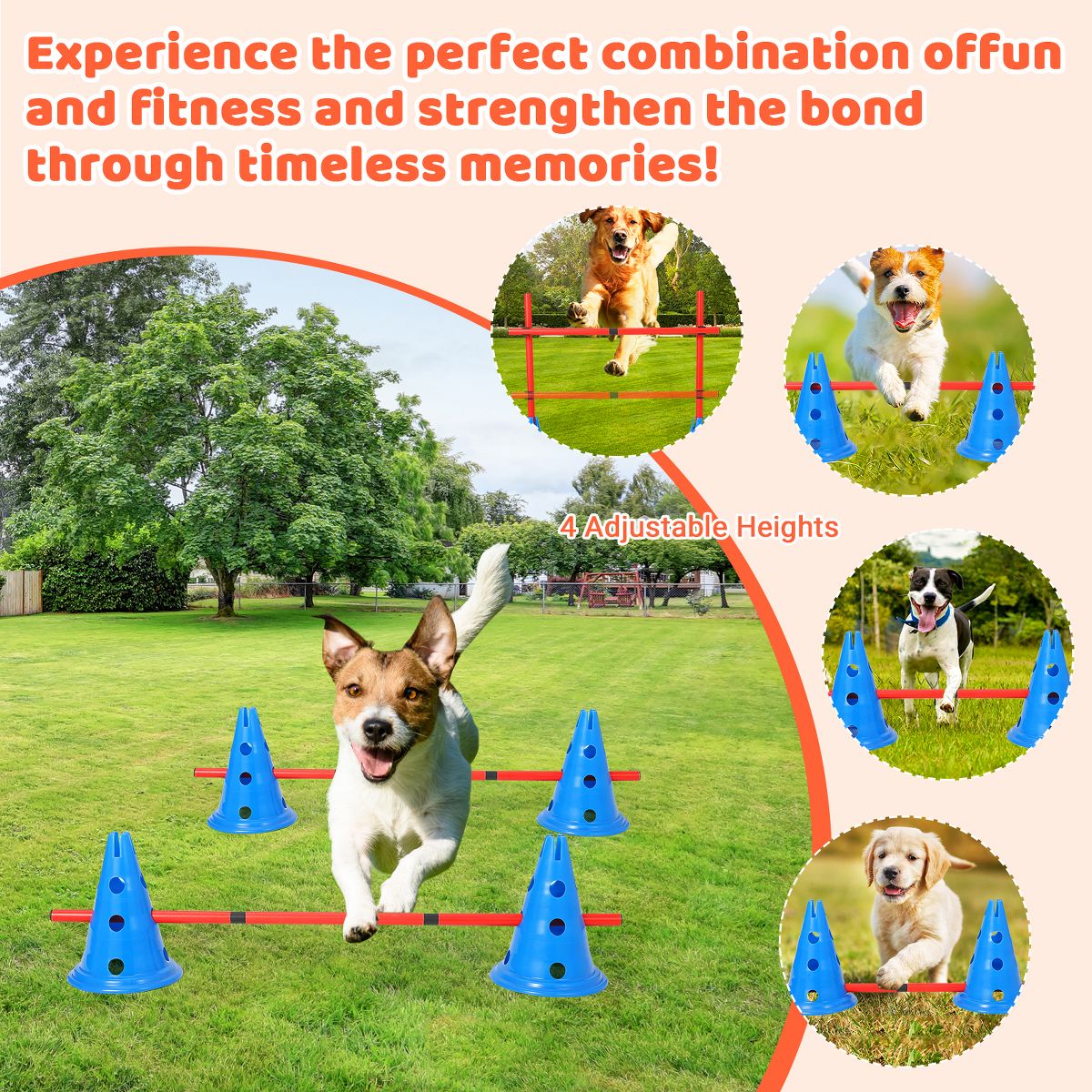 Dog Agility Hurdle Cone Set, Dog Agility Course Backyard Set Include 12 Cones & 6 Agility Rods, Dog Agility Training Equipment with Carry Bag - thumbnail 4
