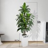 Dracaena Artificial Tree 5ft Tall Pre Potted Dracaena Trees with White Tall Square Planter for Indoor Outdoor Home Office Decor - 3 of 4