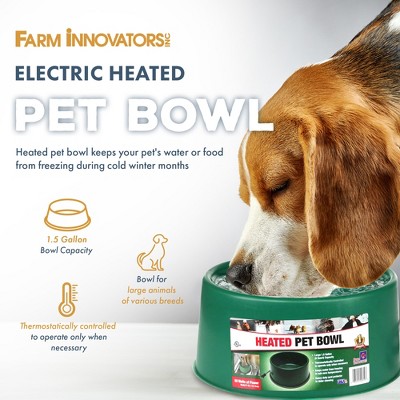 Green 1.5 Gallon Electric Heated Pet Water Bowl with Thermostatic Control
