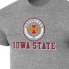 NCAA Iowa State Cyclones Men's Gray Tri-Blend T-Shirt - 3 of 3