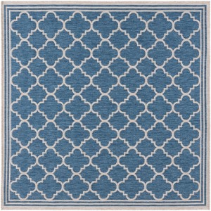 Beach House BHS266 UV & Stain Resistant Non-Shedding Power Loomed Indoor/Outdoor Rugs - Safavieh - 1 of 4