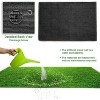Dexmalle Artificial Turf - 4 of 4