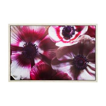 38" x 25" 'Anemone II' Photo by Veronica Olson Printed on Canvas Framed - Yosemite Home Decor