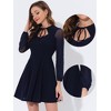 INSPIRE CHIC Women's Tie Neck Ruffled Mesh Long Sleeve Mini Dress - 2 of 4