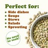 Green Lentil Whole — Non-GMO Verified, Kosher, Bulk - by Food to Live - 4 of 4
