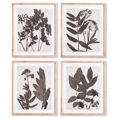 Plum & Post Pressed Foliage Plant Art Prints with Light Wood Frame, Set of 4