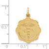 Black Bow Jewelry 14k Yellow Gold Registered Nurse Disk Charm, 16mm - 4 of 4
