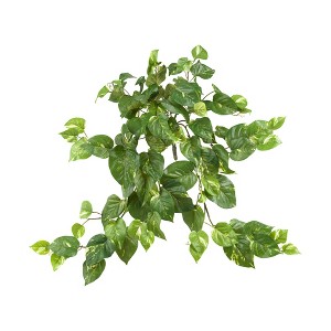 Nearly Natural 30-in Pothos Hanging Bush (Set of 3) - 1 of 1